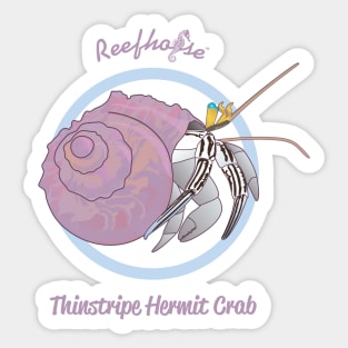 Thinstripe Hermit Crab Sticker